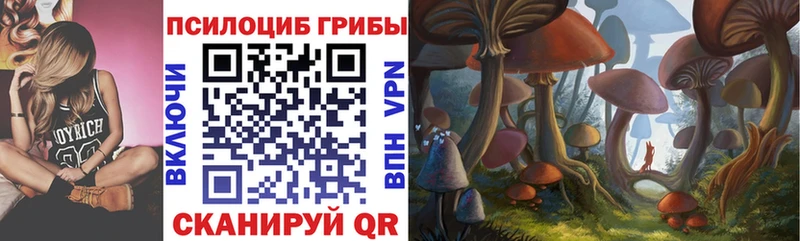 где купить Тверь Галлюциногенные грибы мицелий